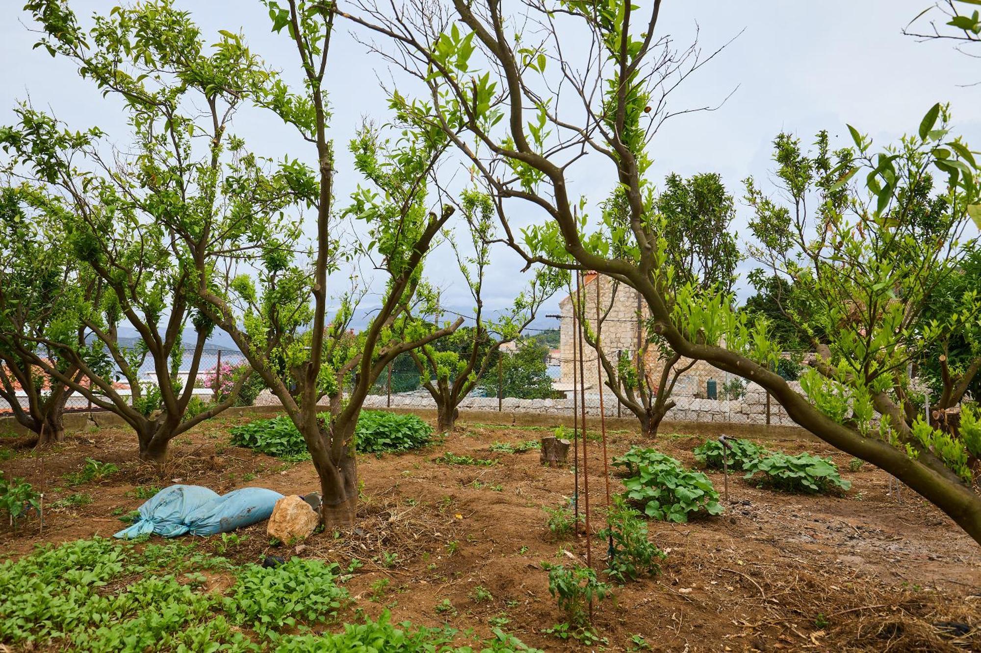 Beloc House Lopud Island Apartment Bagian luar foto